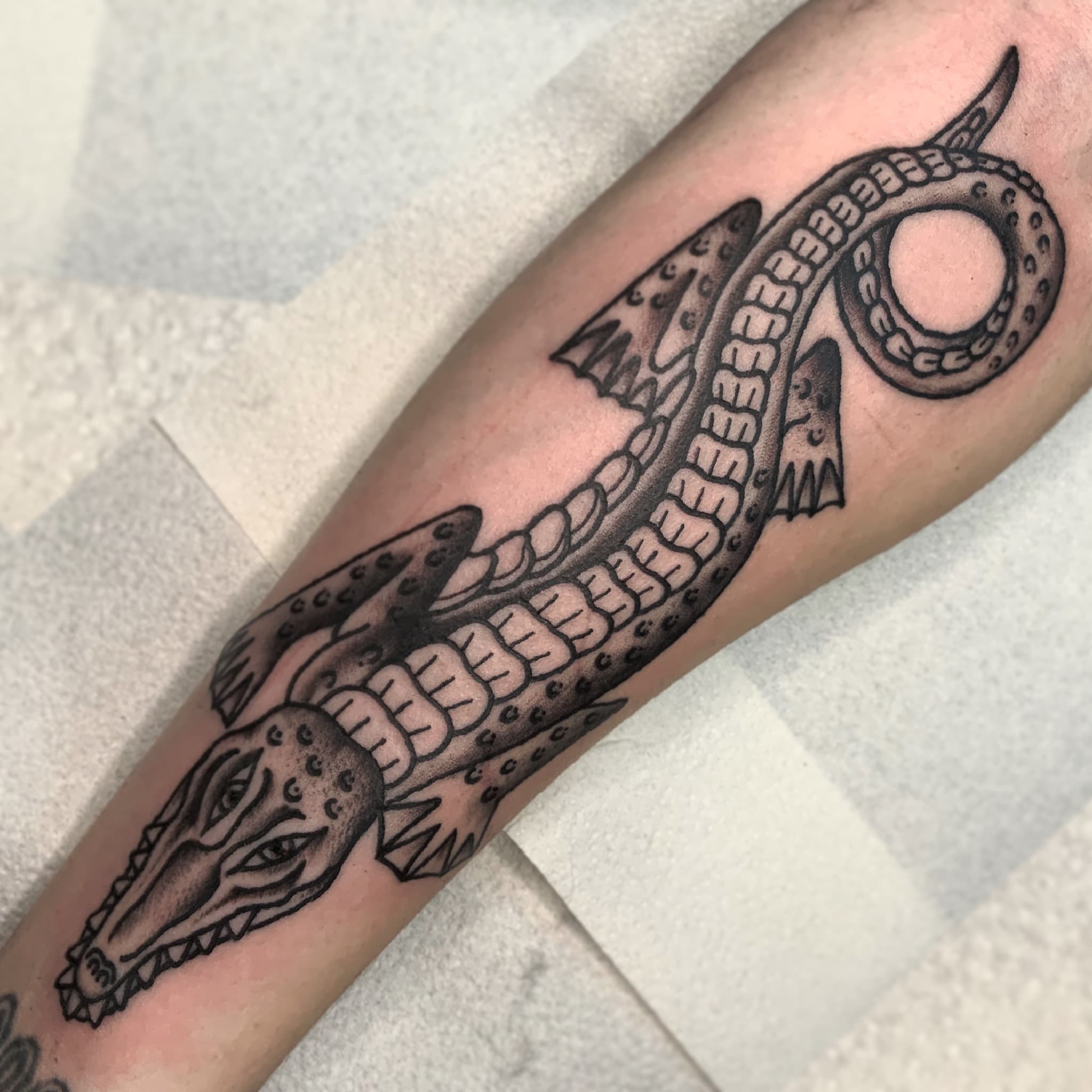 ALIGATOR